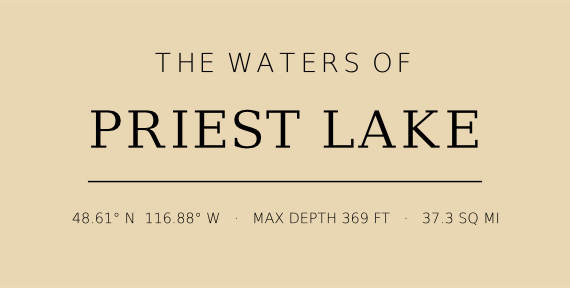 Title block preview