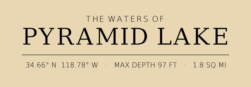 Title block preview
