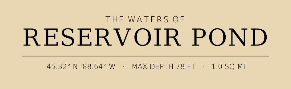 Title block preview