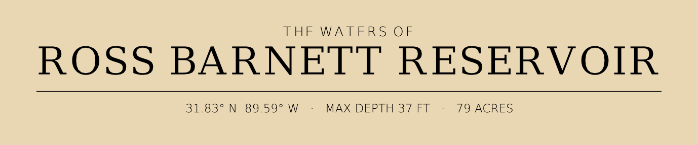 Title block preview