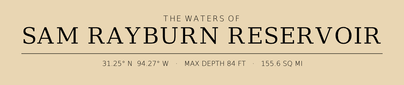 Title block preview