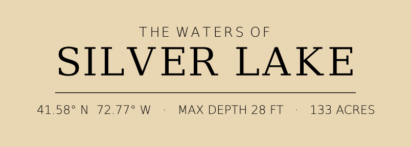 Title block preview