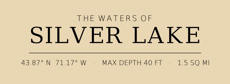 Title block preview