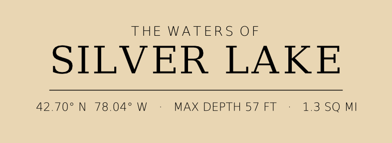 Title block preview