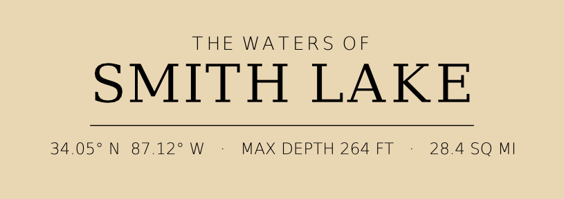 Title block preview