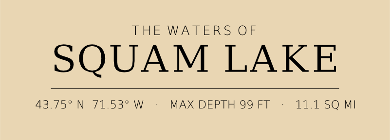 Title block preview