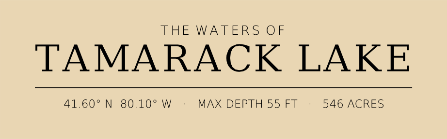 Title block preview