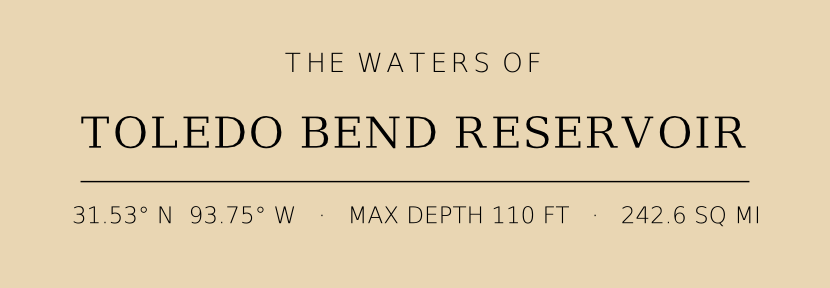 Title block preview