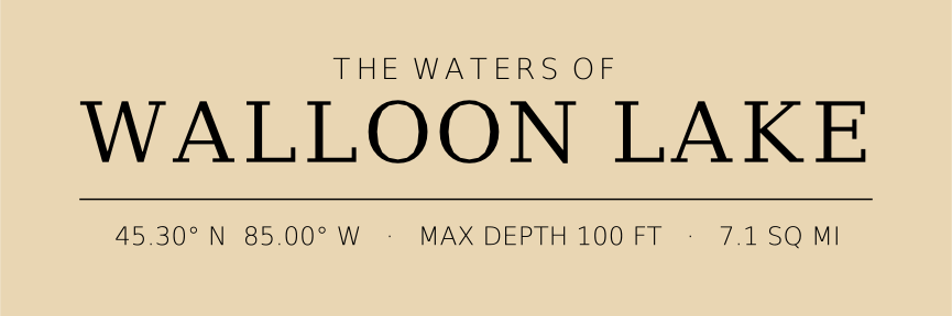 Title block preview