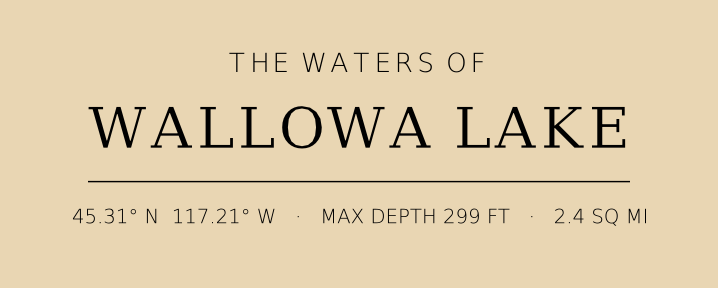 Title block preview