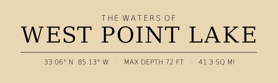 Title block preview