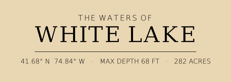 Title block preview