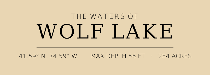 Title block preview