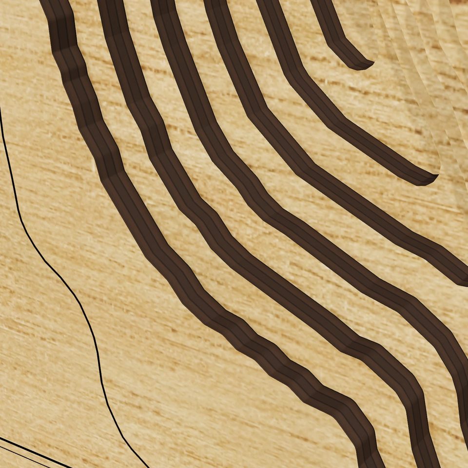 Acton Lake 3D wood map, detail view