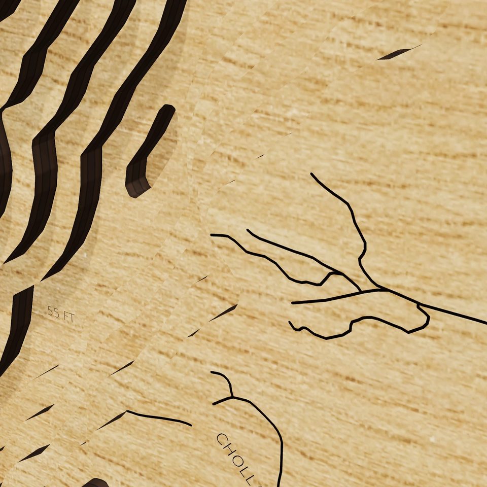 Alamo Lake 3D wood map, detail view