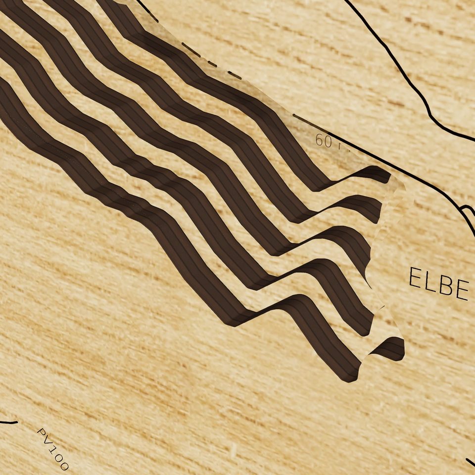 Alder Lake 3D wood map, detail view