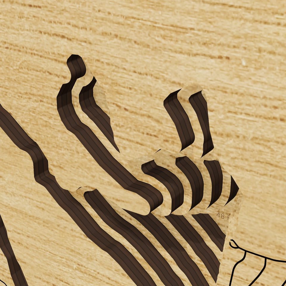 Aliceville Lake 3D wood map, detail view