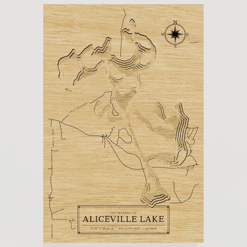 Aliceville Lake 3D wood map, front view