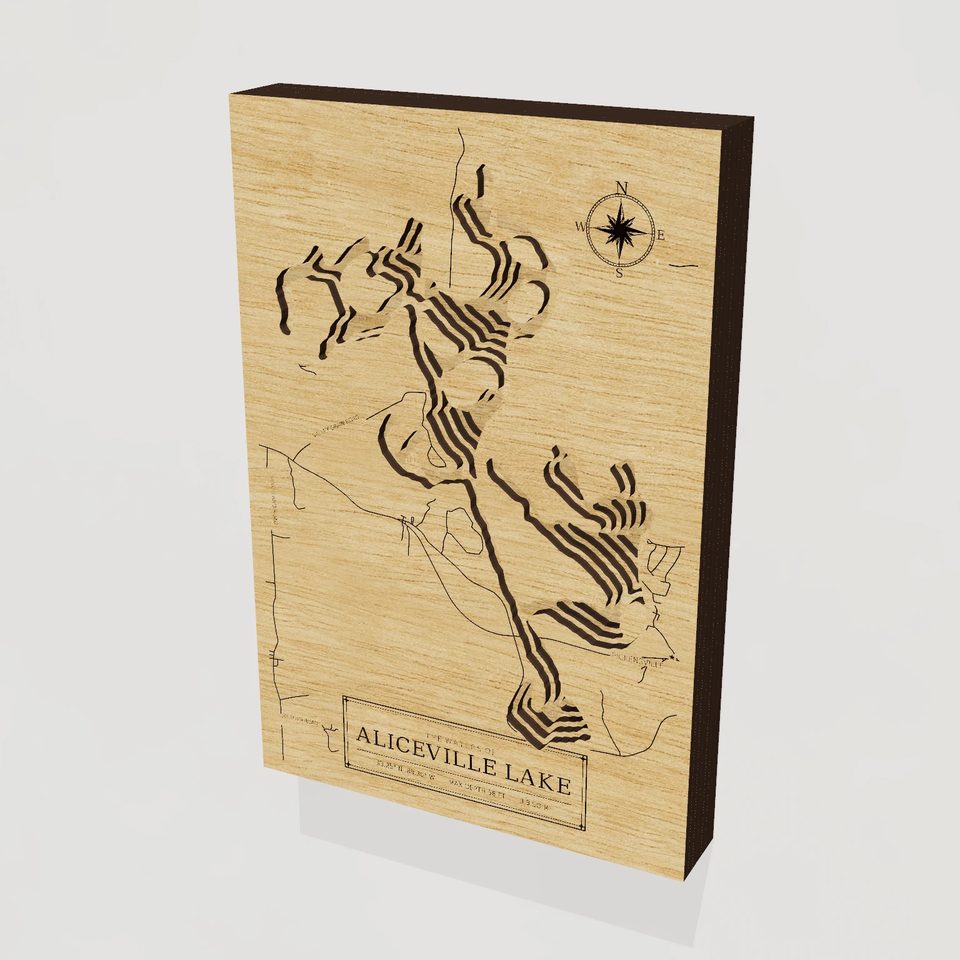 Aliceville Lake 3D wood map, hero view