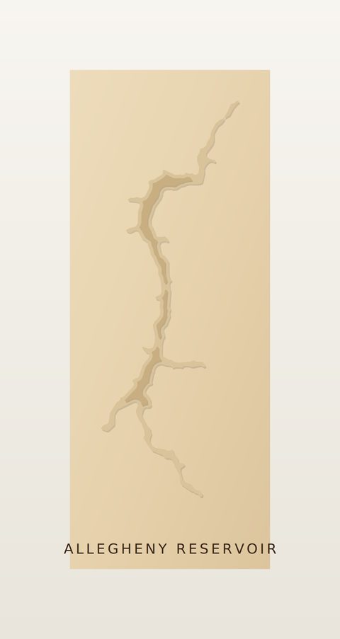 Allegheny Reservoir wood map