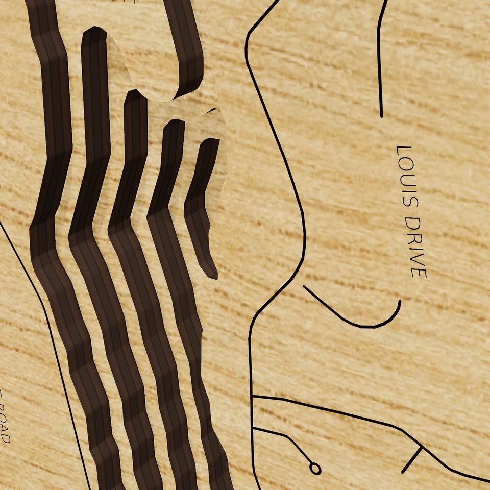 Amawalk Reservoir 3D wood map, detail view