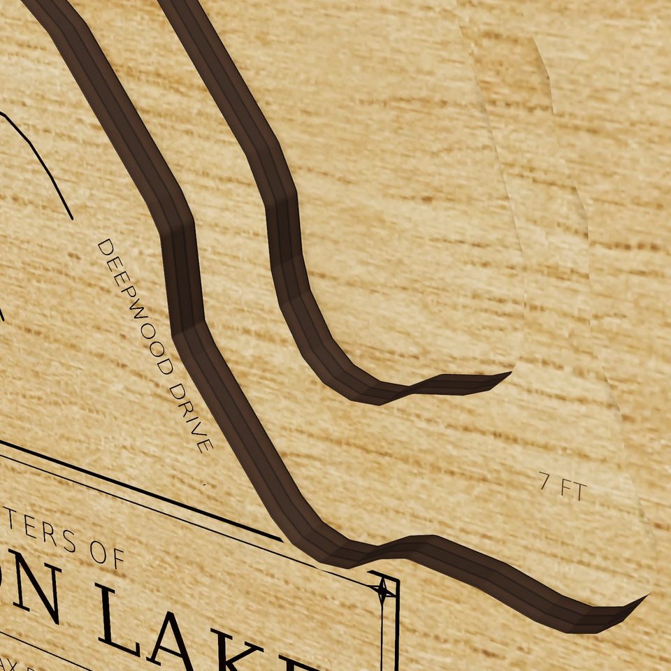 Amston Lake 3D wood map, detail view