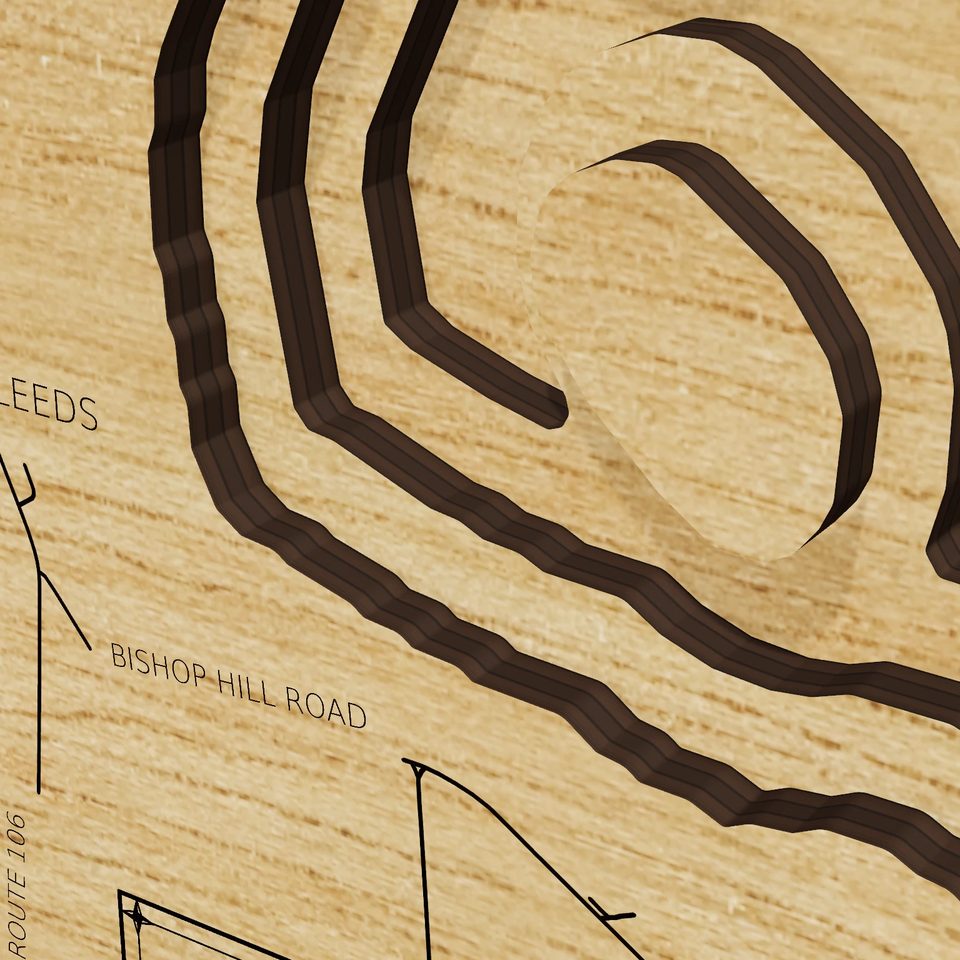 Androscoggin Lake 3D wood map, detail view