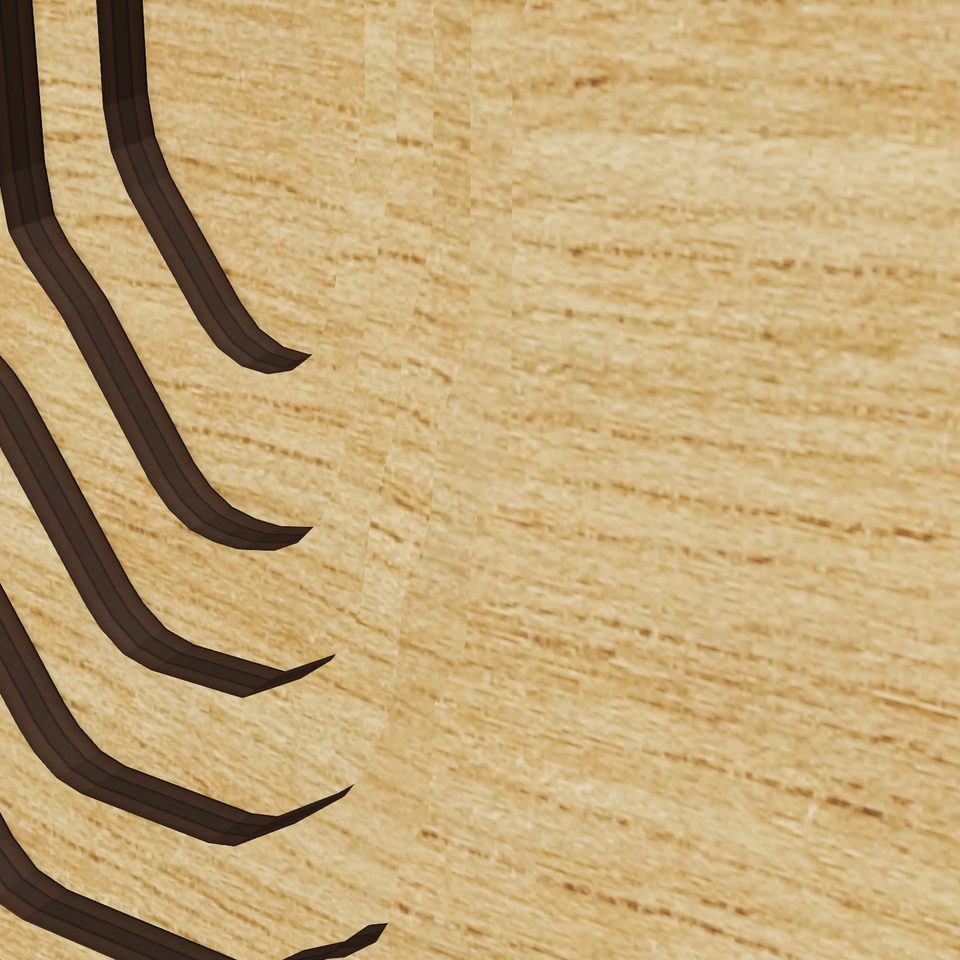 Angeline Lake 3D wood map, detail view