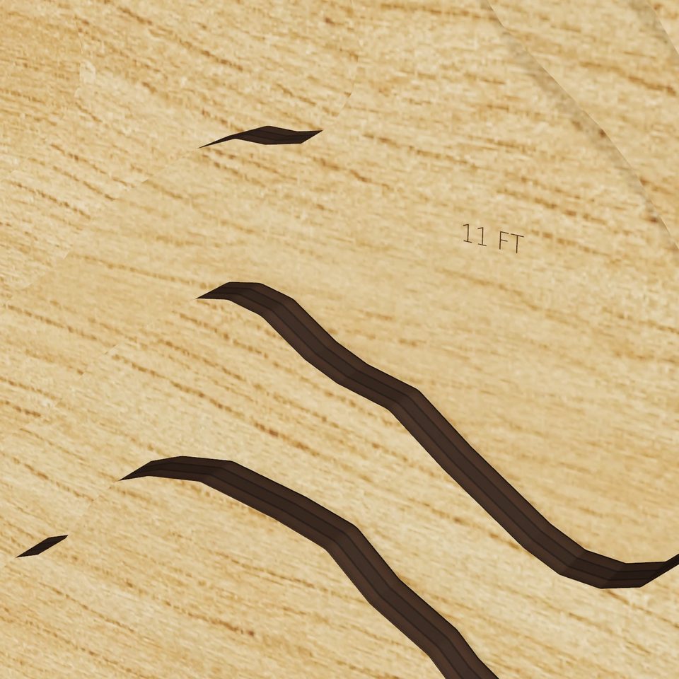 Angle Pond 3D wood map, detail view