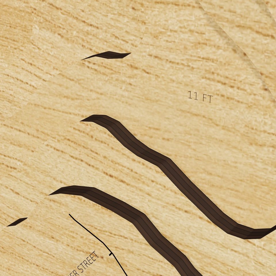 Angle Pond 3D wood map, detail view
