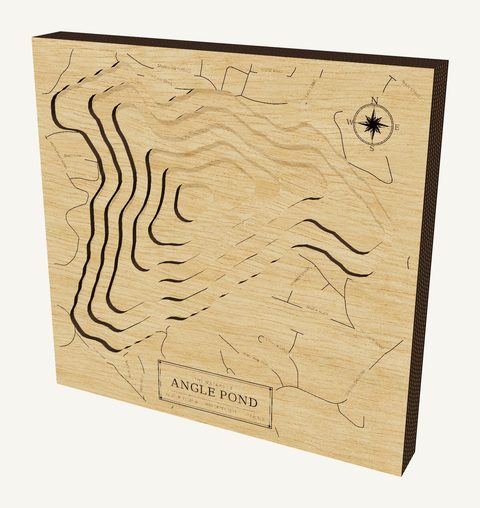 Angle Pond wood map
