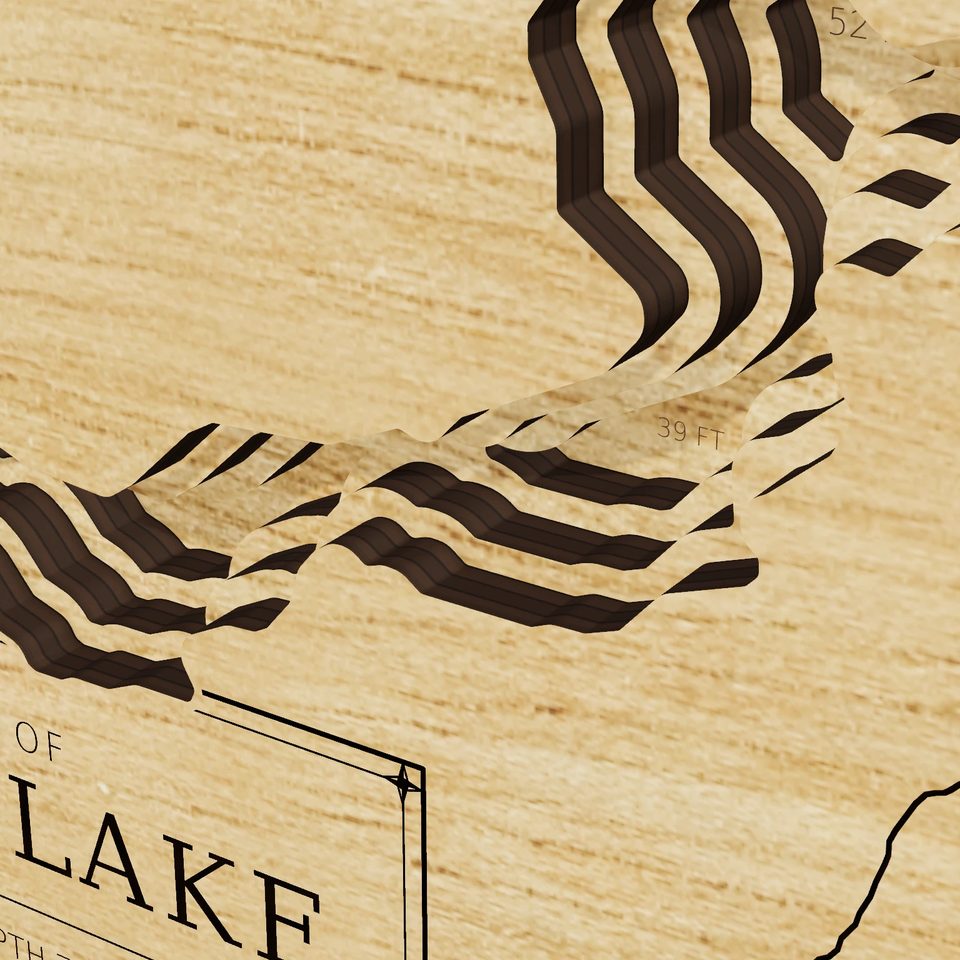 Apache Lake 3D wood map, detail view