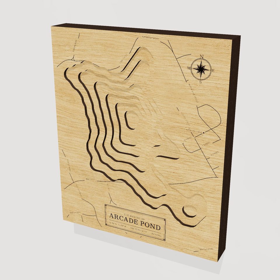 Arcade Pond 3D wood map, hero view