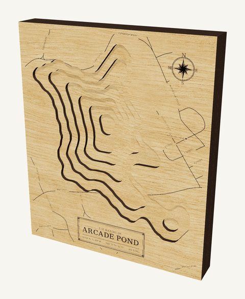 Arcade Pond wood map