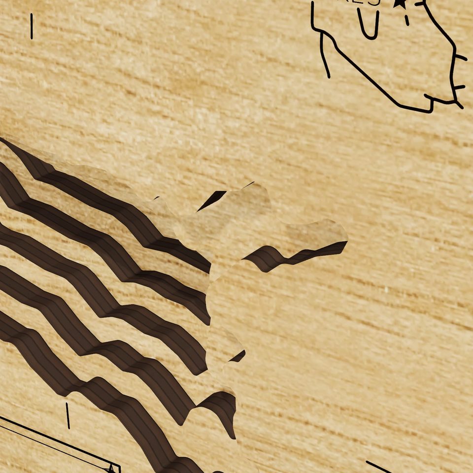 Arkabutla Lake 3D wood map, detail view