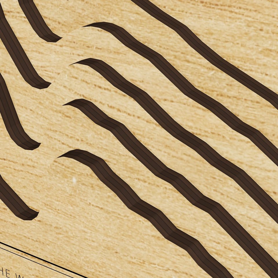 Arnold Mills Reservoir 3D wood map, detail view