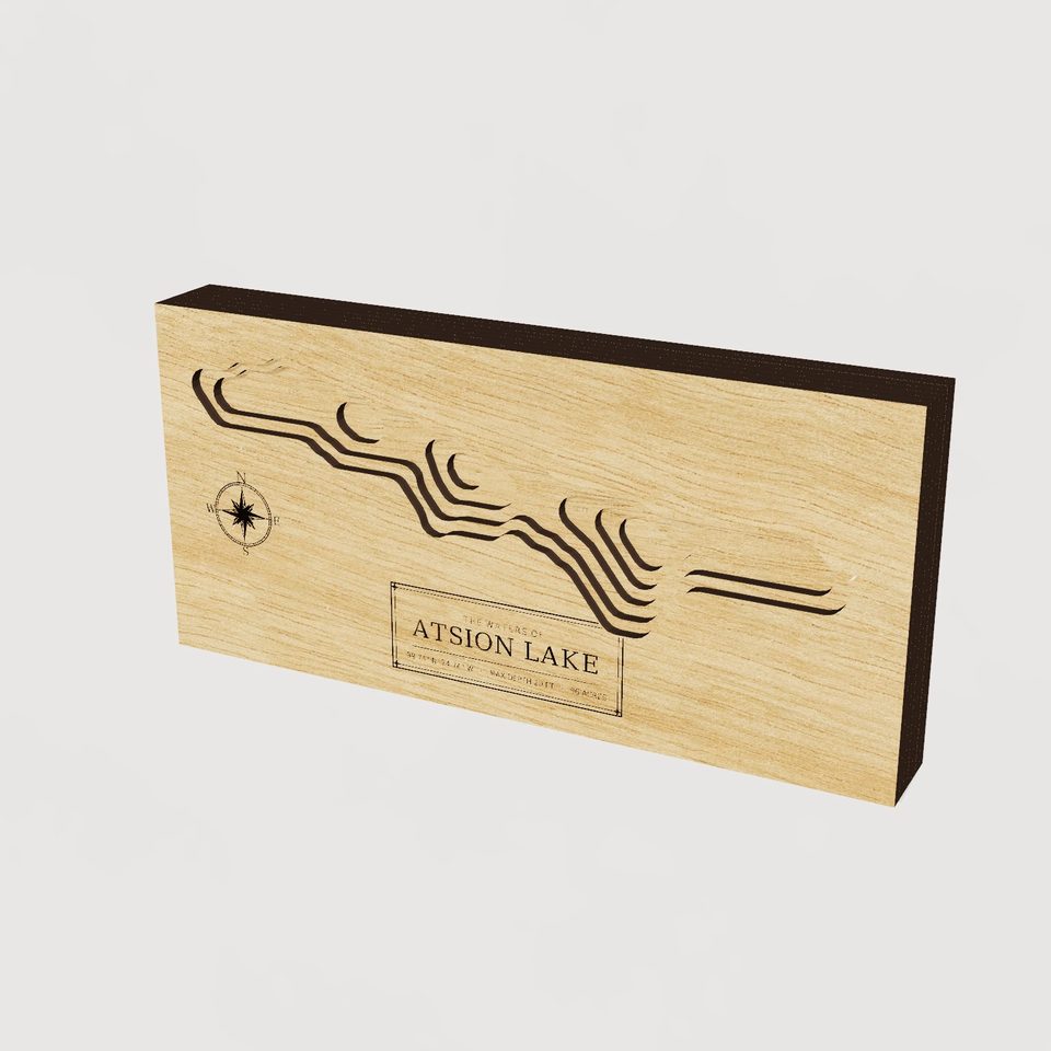 Atsion Lake 3D wood map, hero view