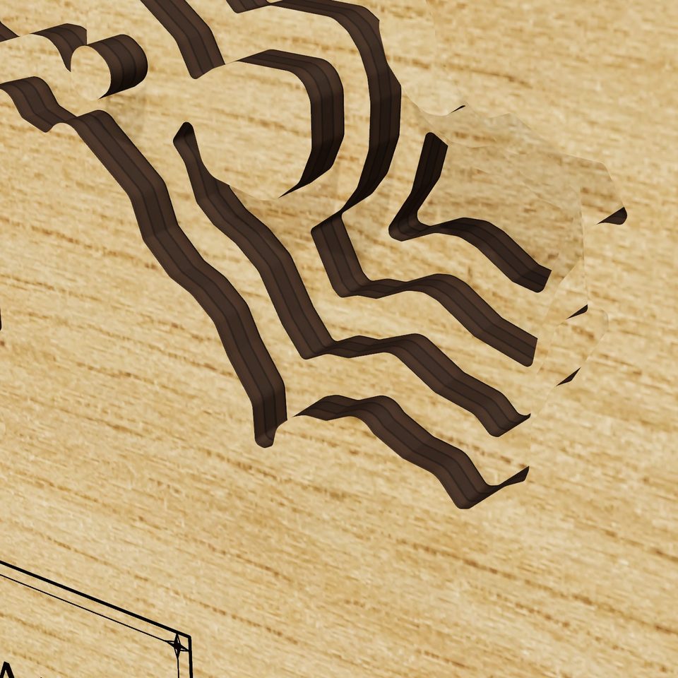 Audubon Lake 3D wood map, detail view