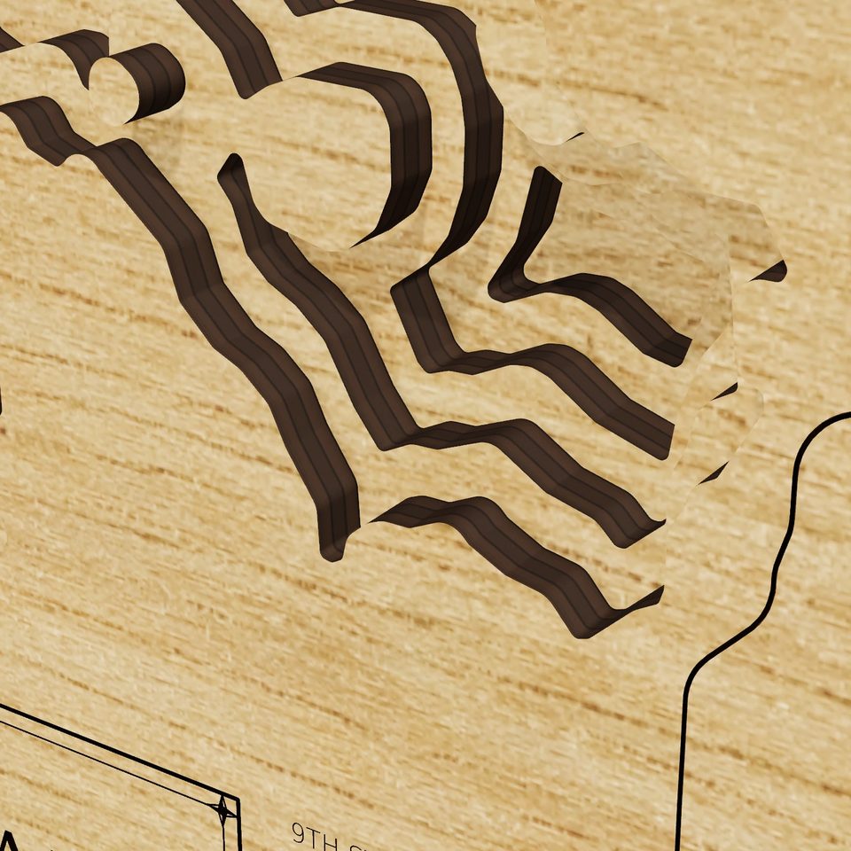 Audubon Lake 3D wood map, detail view
