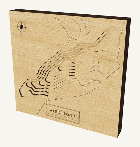Ayers Pond wood map