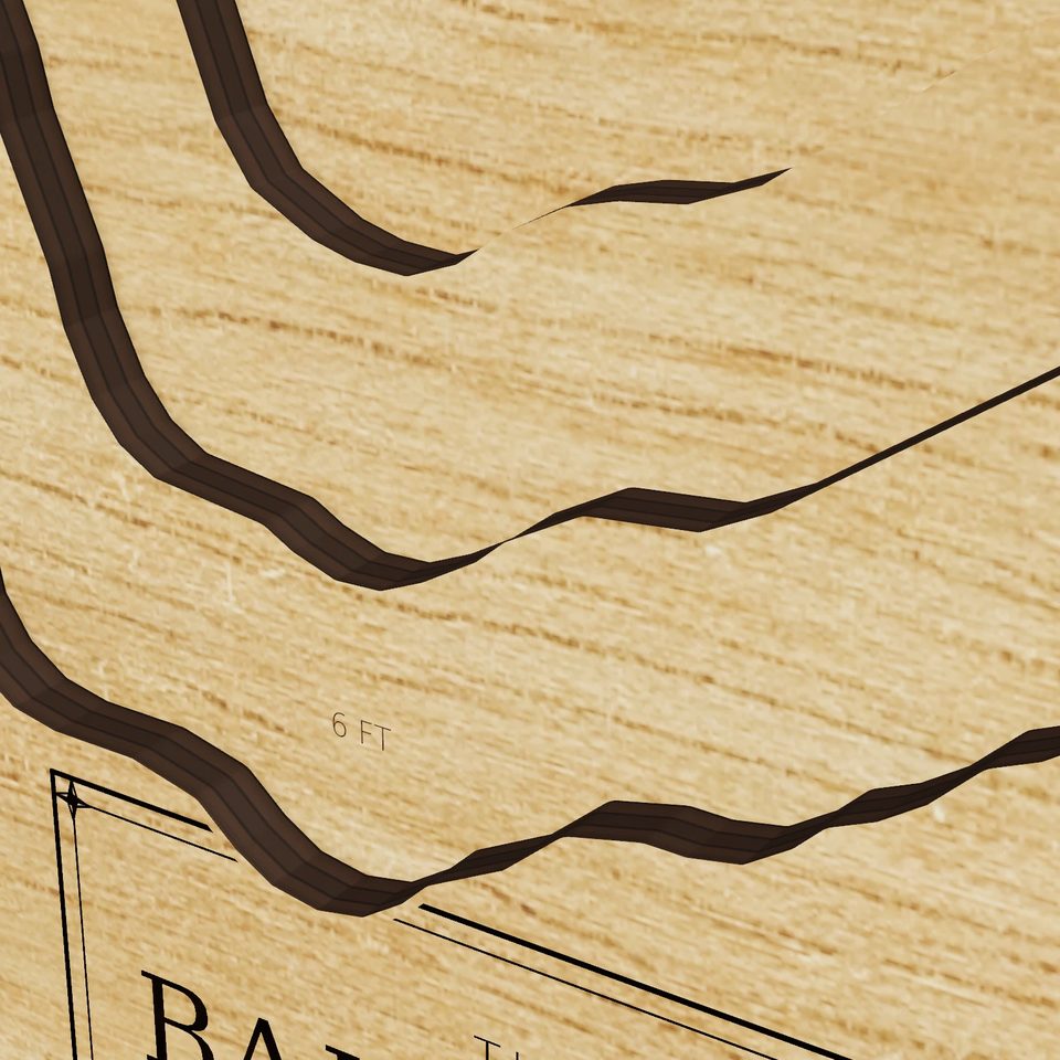 Baldwin Lake 3D wood map, detail view