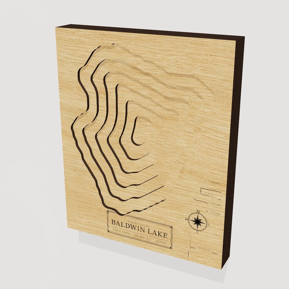 Baldwin Lake 3D wood map, hero view