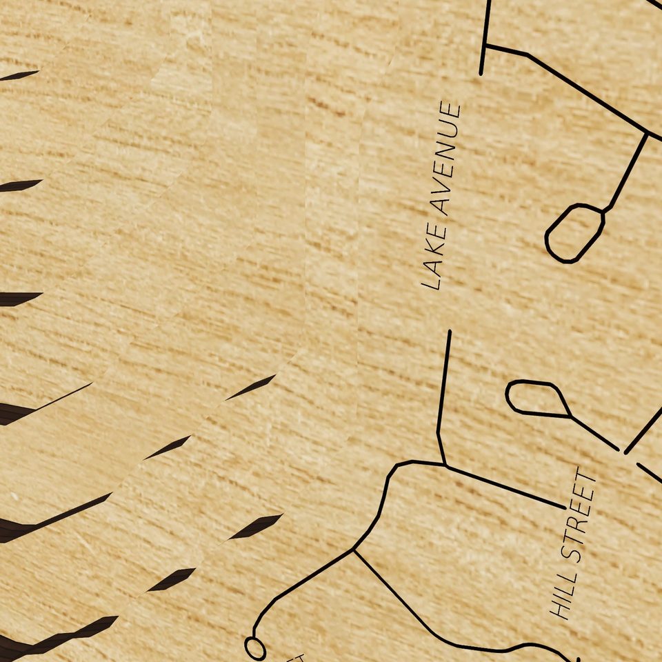 Bangs Lake 3D wood map, detail view