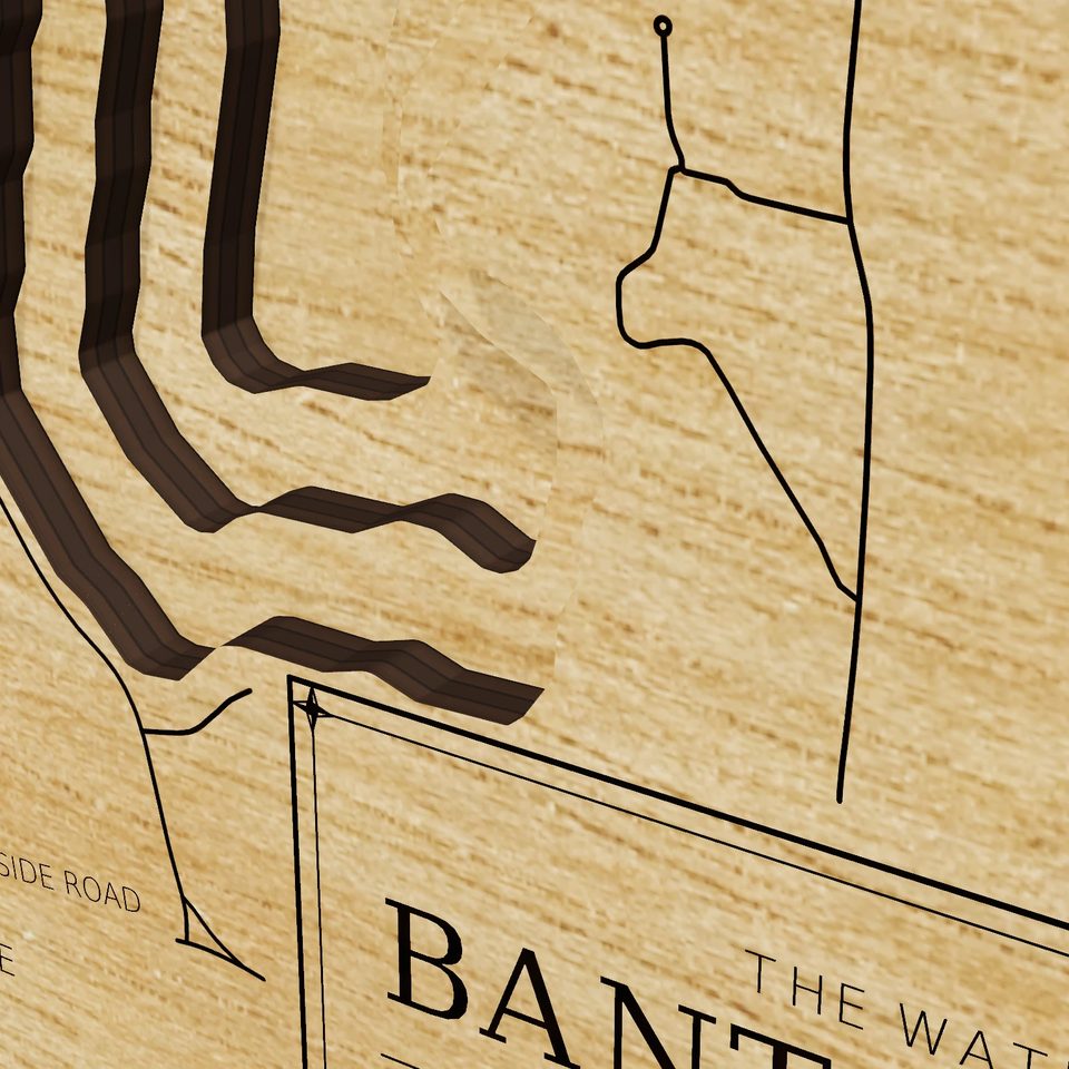 Bantam Lake 3D wood map, detail view
