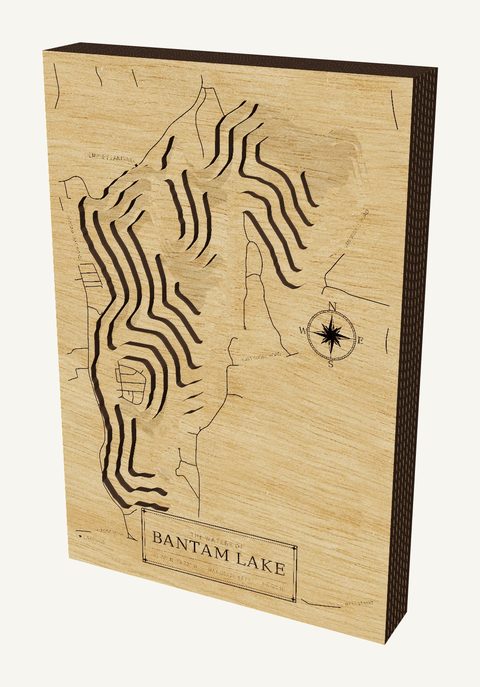 Bantam Lake wood map