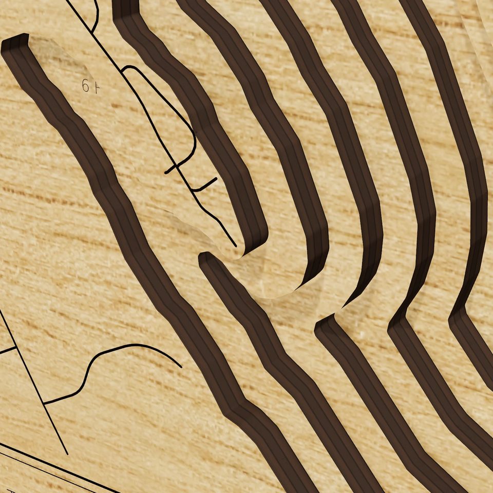 Bardwell Lake 3D wood map, detail view