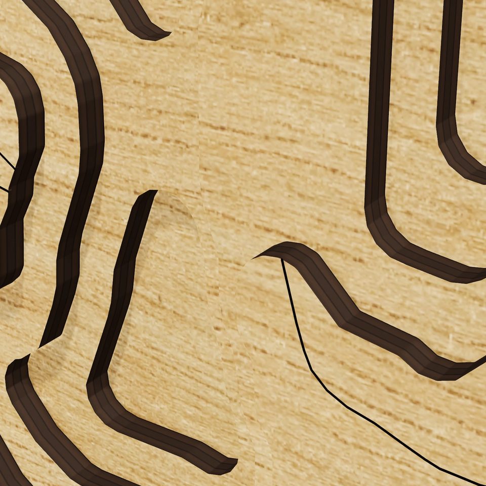 Bare Hill Pond 3D wood map, detail view