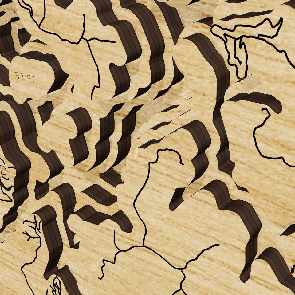 Beaver Lake 3D wood map, detail view