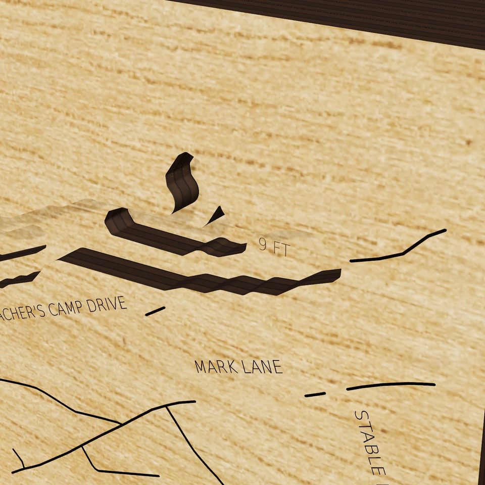 Beltzville Lake 3D wood map, detail view