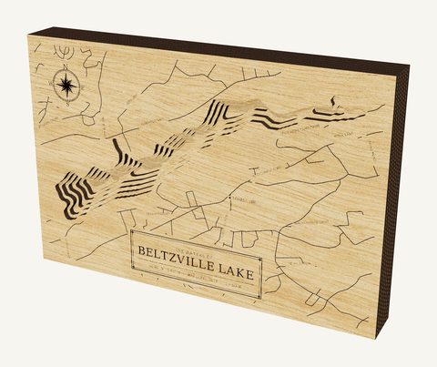 Beltzville Lake wood map